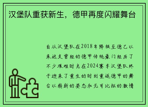 汉堡队重获新生，德甲再度闪耀舞台